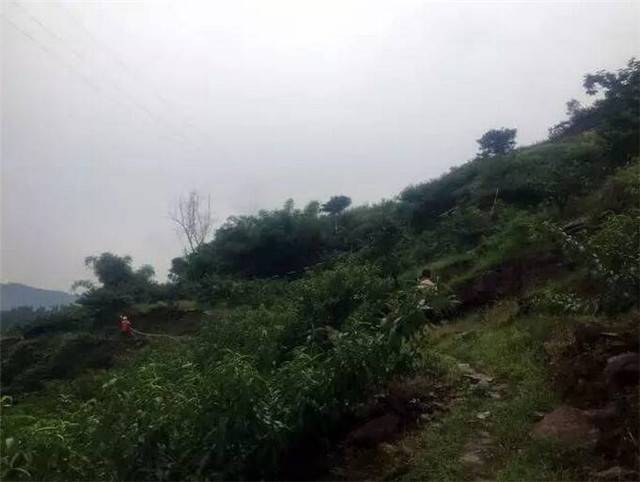 上海众筹页面3.jpg