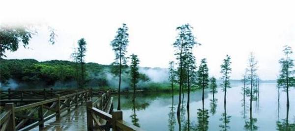 上海众筹页面2.jpg