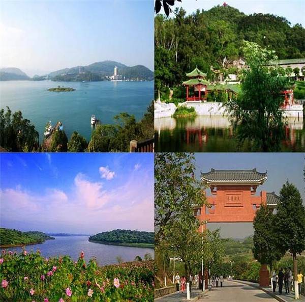 上海众筹页面4.jpg
