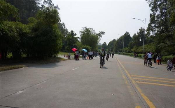 上海众筹页面9.jpg