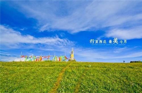 上海众筹页面3.jpg