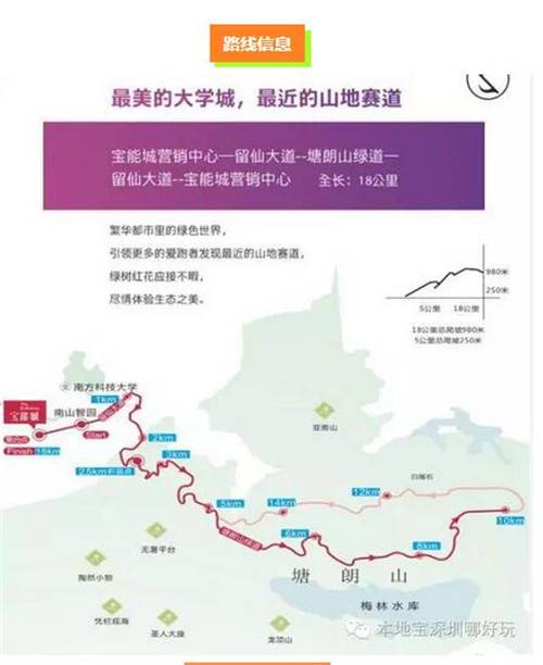 上海众筹页面8.jpg