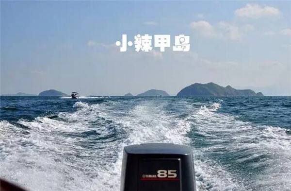 上海众筹页面3.jpg