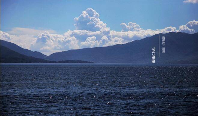 上海众筹页面1.jpg