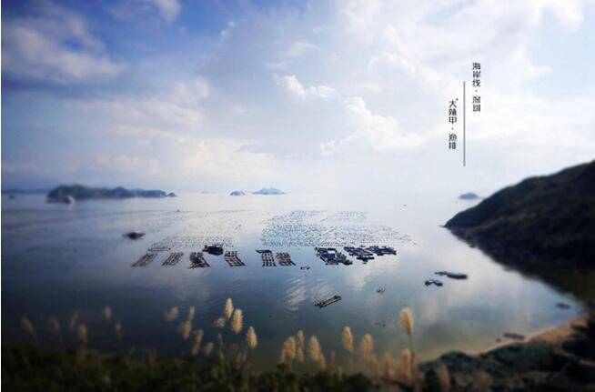 上海众筹页面5.jpg