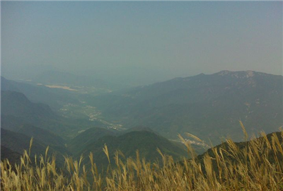 赛道风景