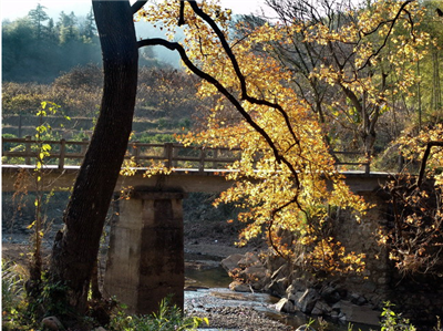 赛道风景
