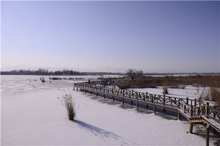 _DSC4154~1.jpg