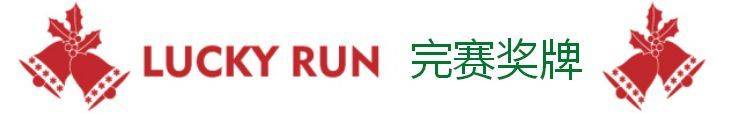 奖牌说明.jpg