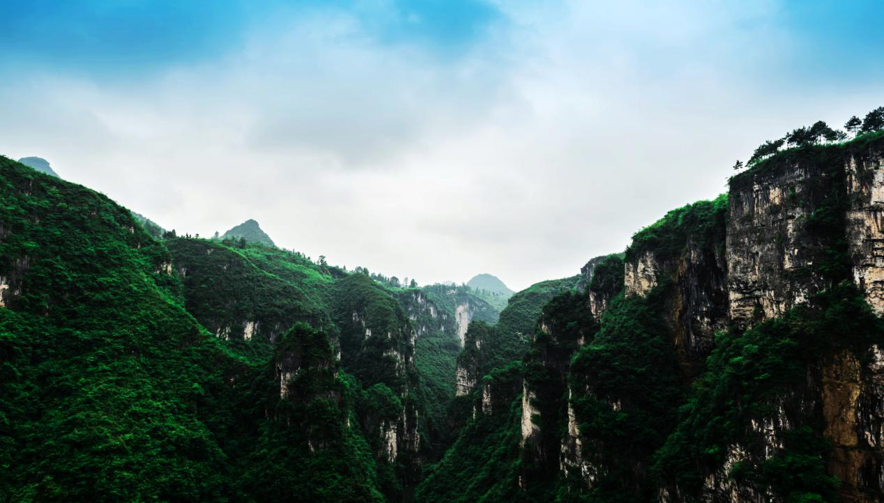 图片24.png