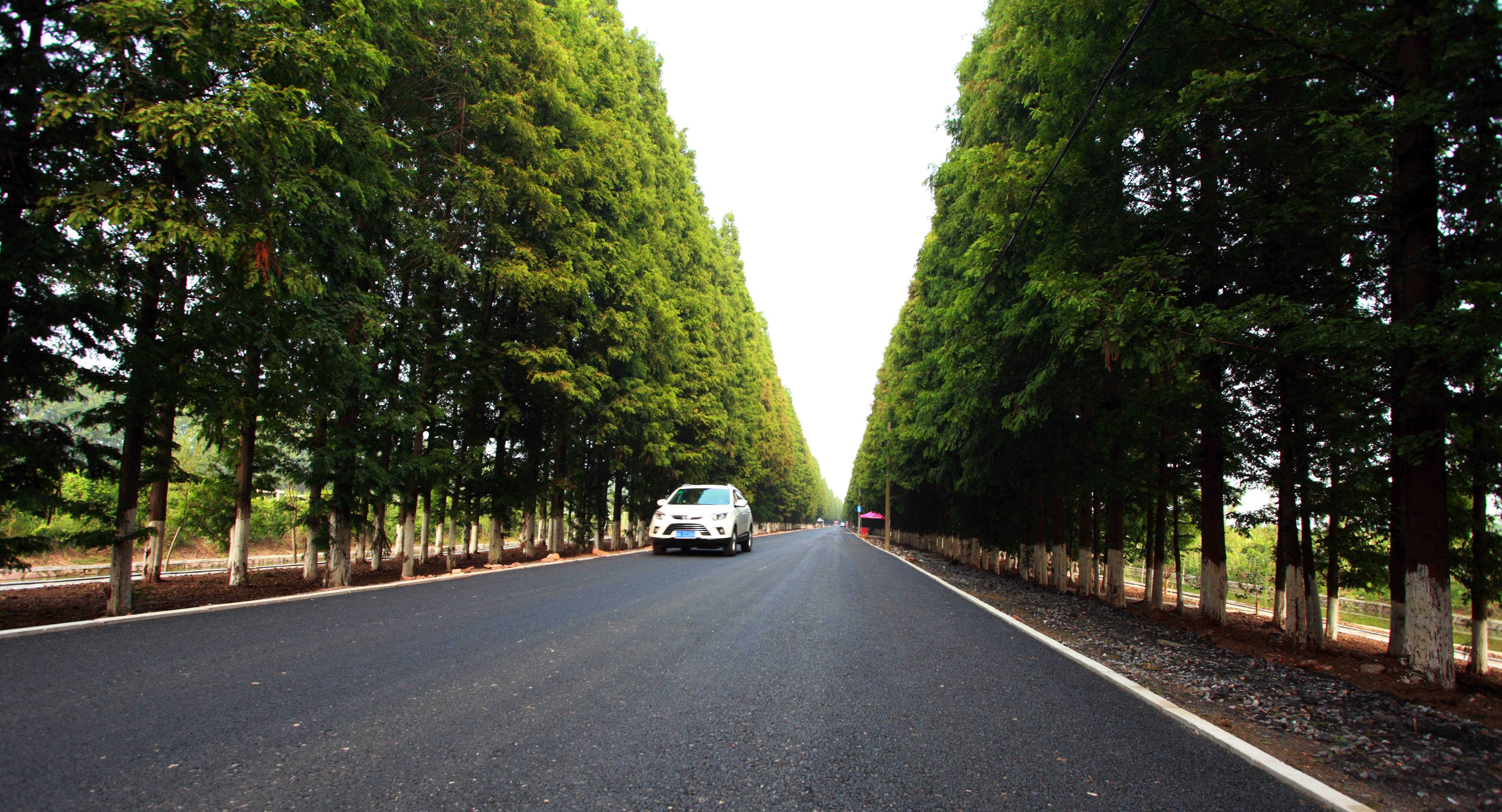 专用赛道.JPG