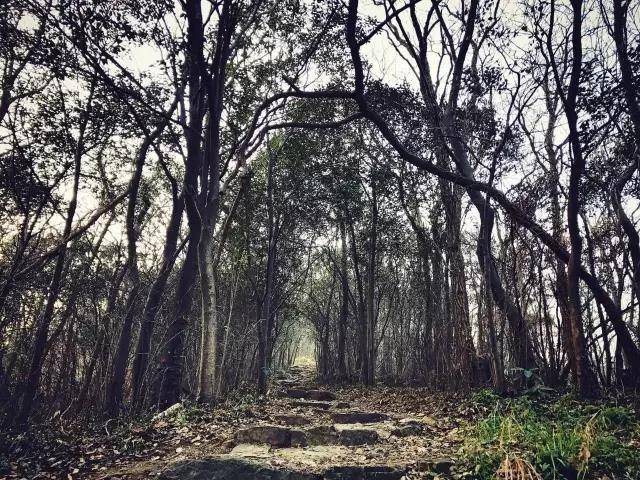 赛道风景6.jpg