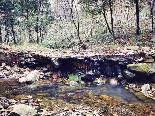 赛道风景3.jpg