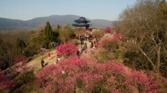 1488359615457037.jpg 赛道风景1.jpg