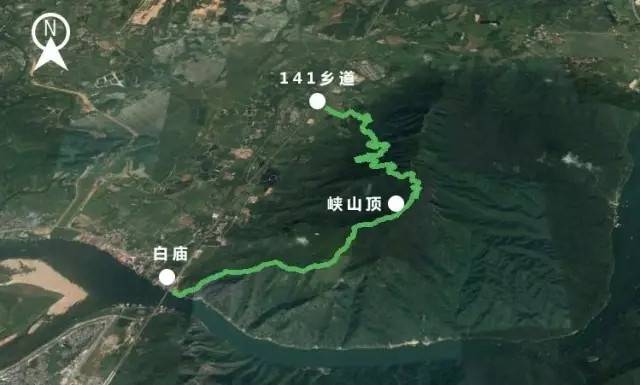 清远3.webp.jpg