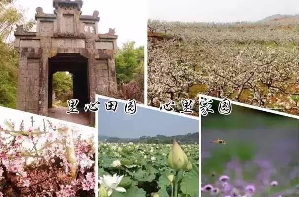 花海寻宝.jpg
