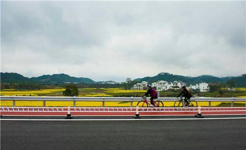 赛道2.jpg