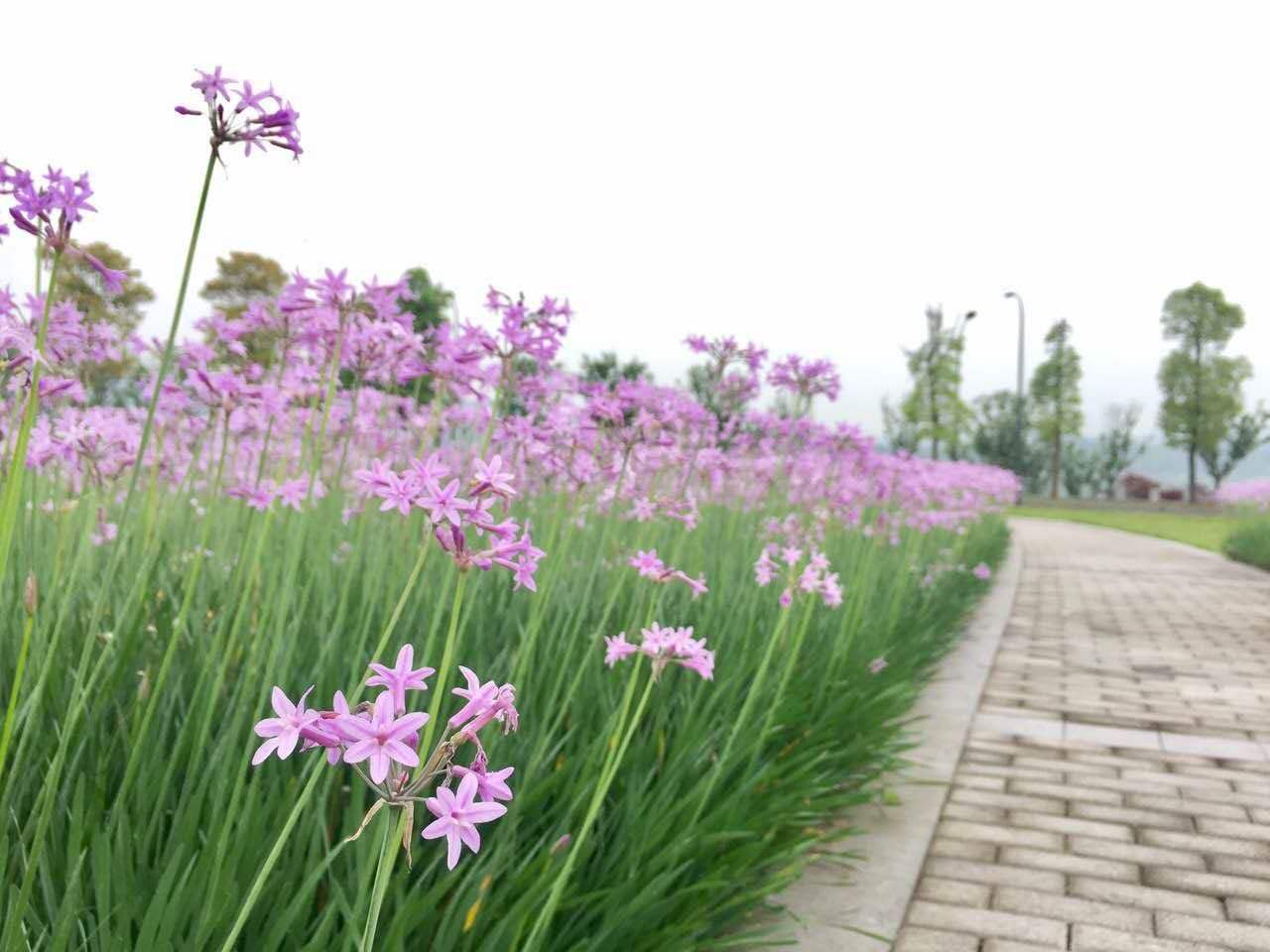 广阳岛3.jpg
