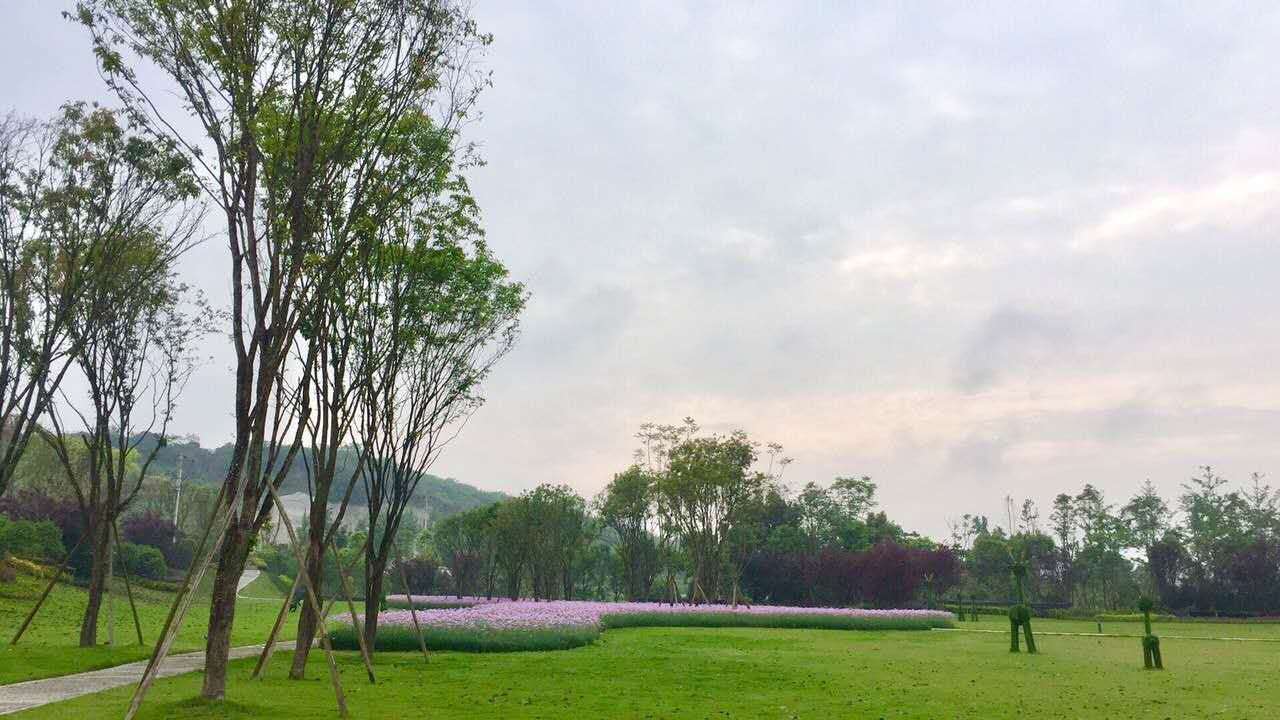 广阳岛4.jpg
