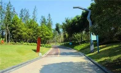 赛道风景.webp.jpg