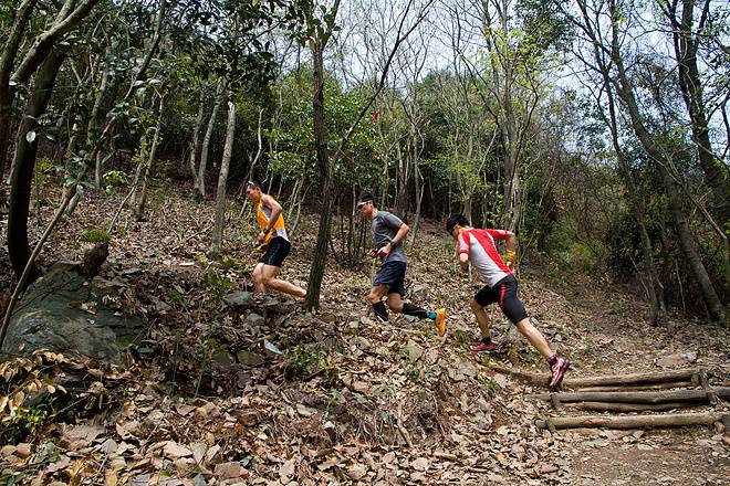 IMG_1932-b3ac30e098221ee3027b5262856743b5.jpg