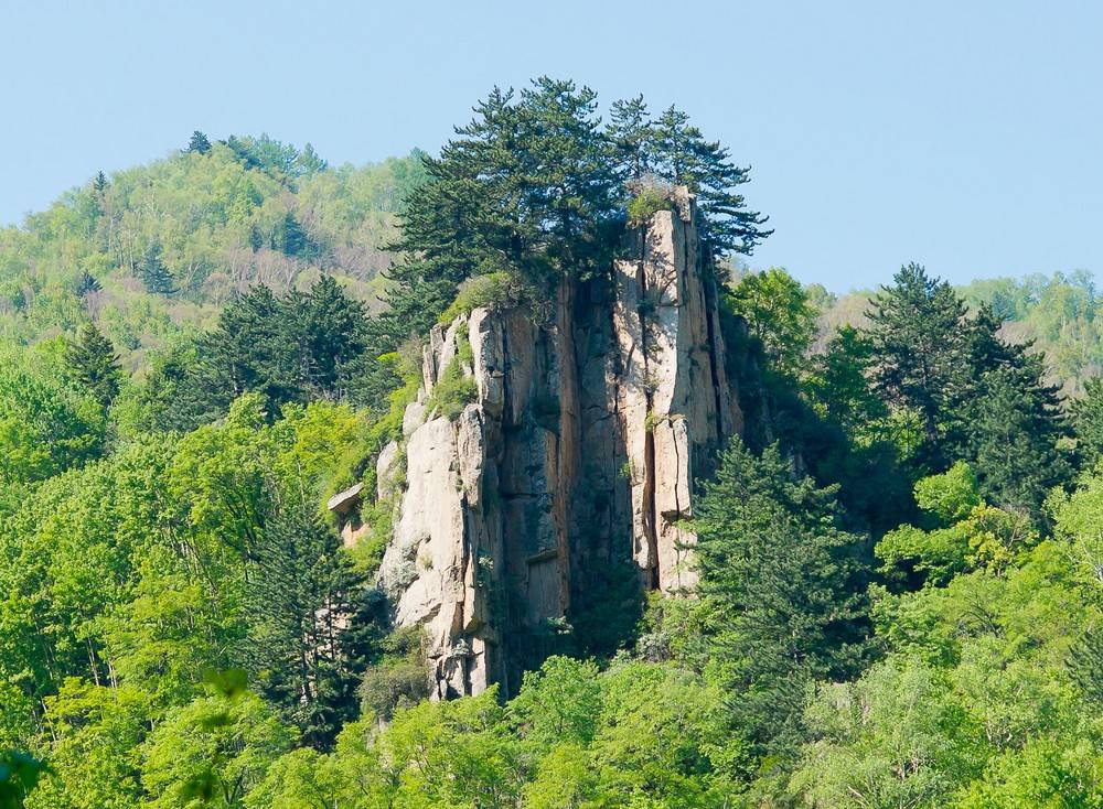 a16254326_01000.jpg