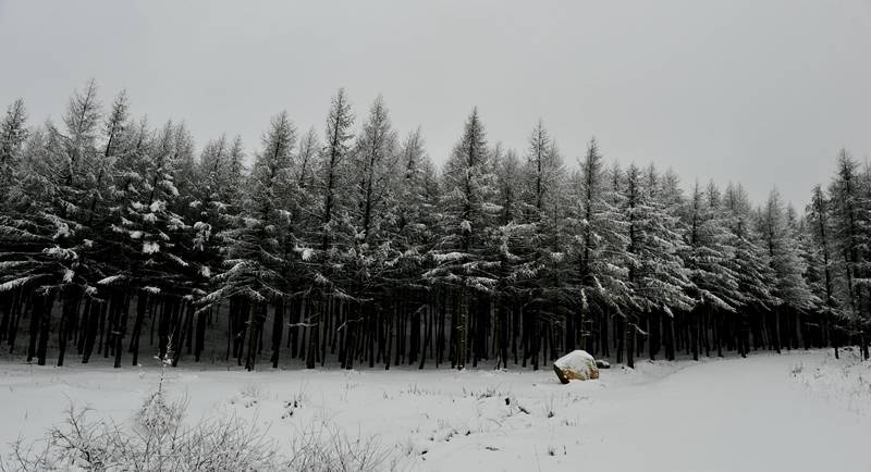 _DSC1214.jpg