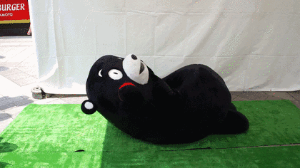 13.gif
