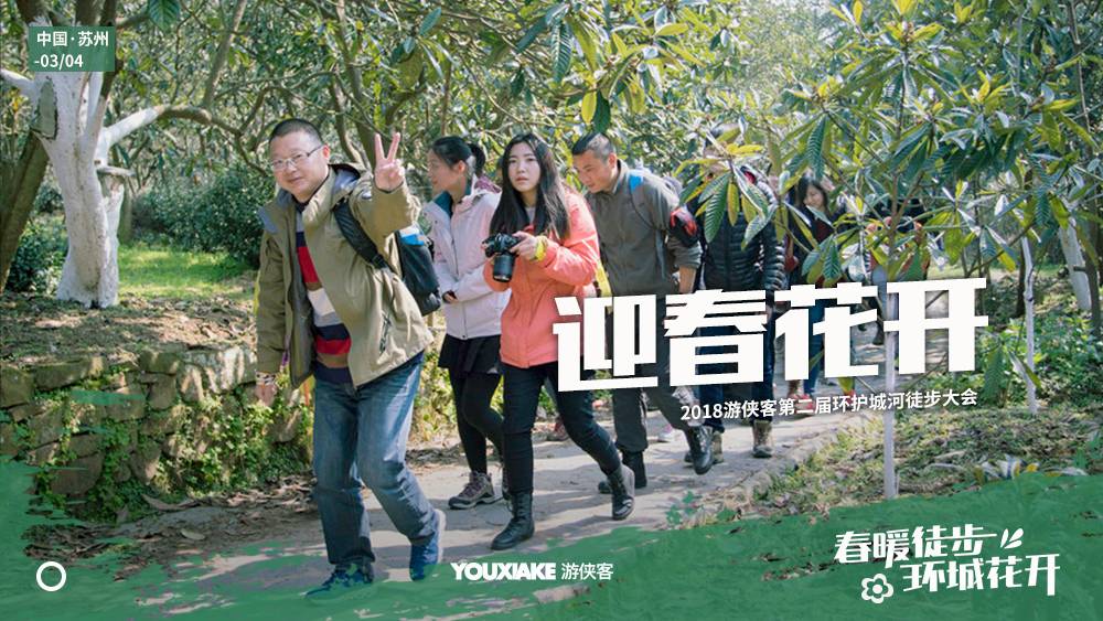 迎春花开.jpg