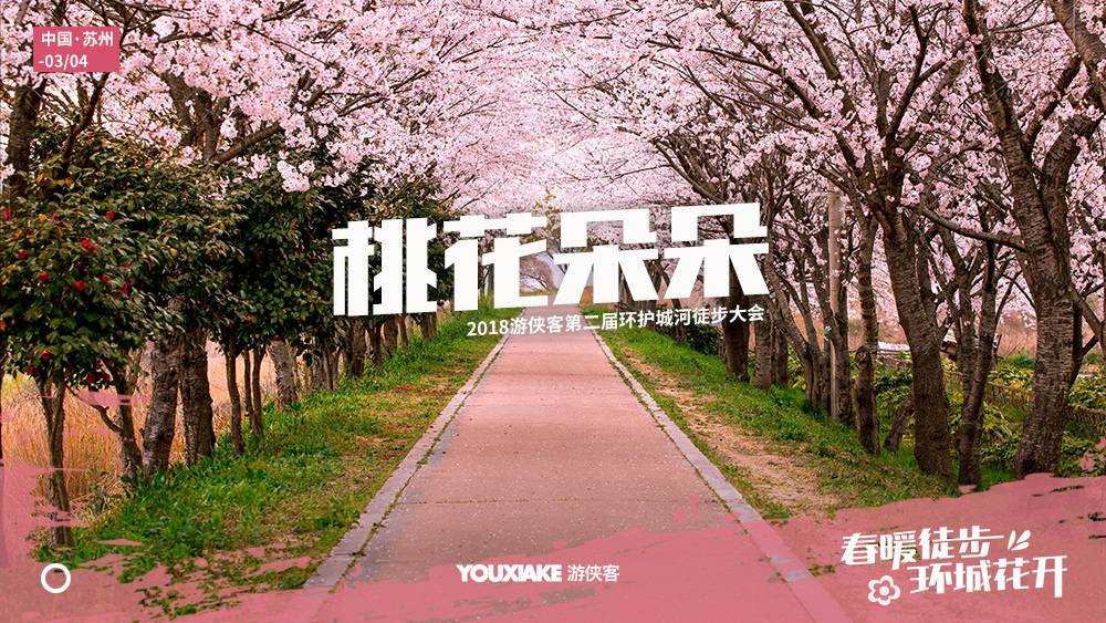 桃花朵朵.jpg