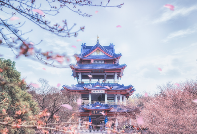 微信图片_20180306114807.png
