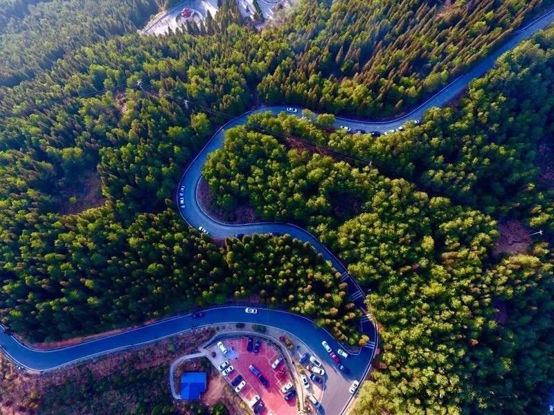 1 (1).jpg