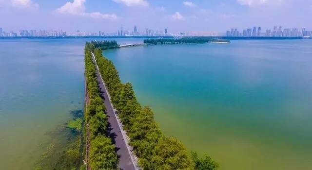 15东湖6.webp.jpg