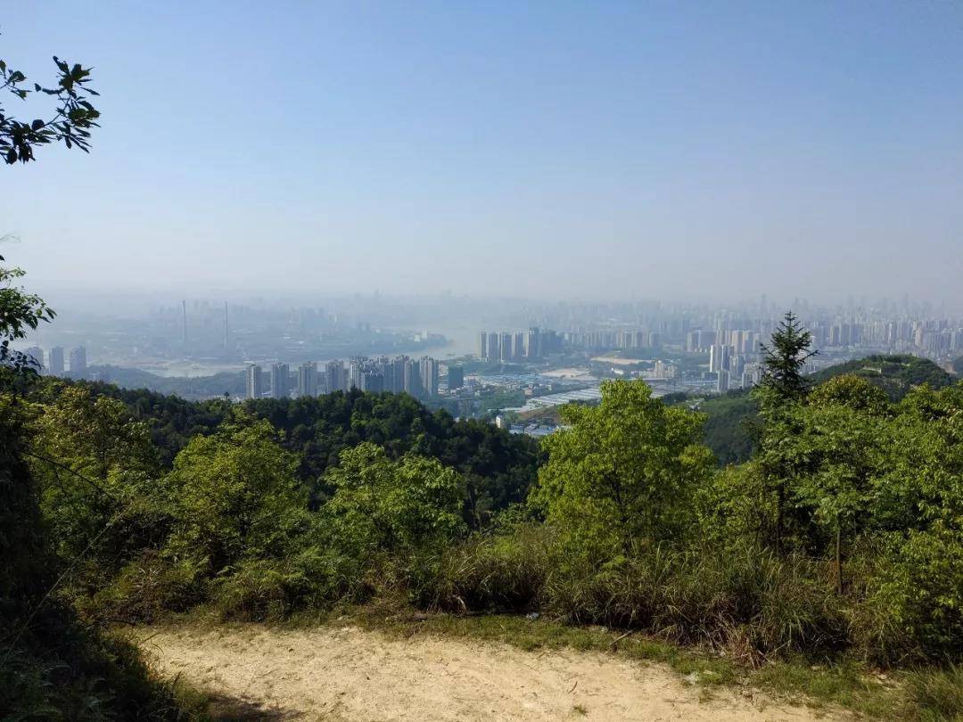 微信图片_20180509094443.jpg