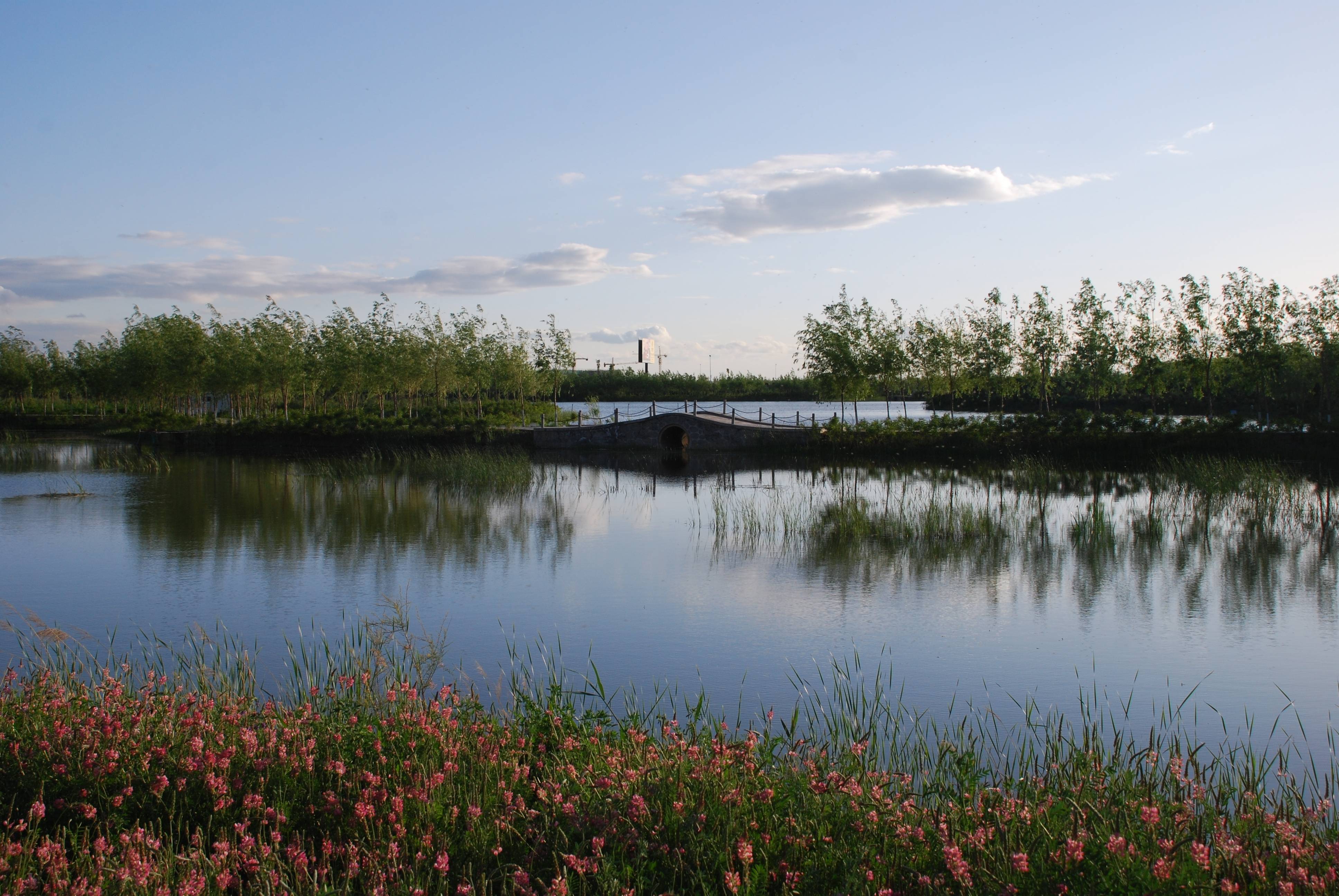 幽静美丽的湿地公园令人陶醉。摄于8月10日.JPG