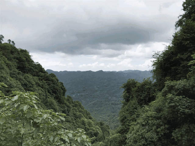 微信图片_20180629153210.gif