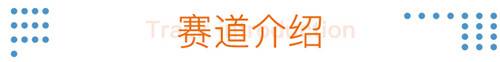 11赛道介绍.jpg