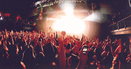 4.gif