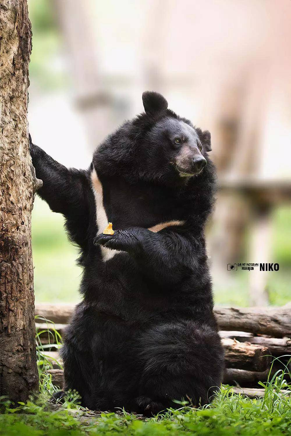 微信图片_20180813104155.jpg