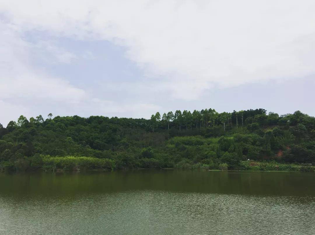 微信图片_20180824150356.jpg
