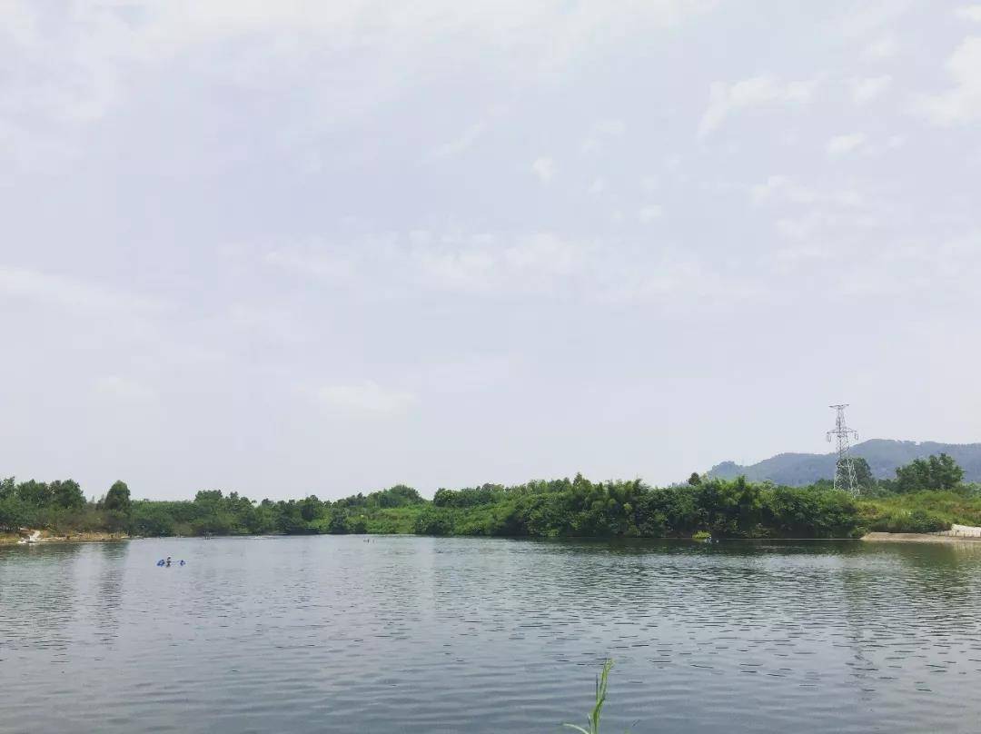 微信图片_20180824150401.jpg