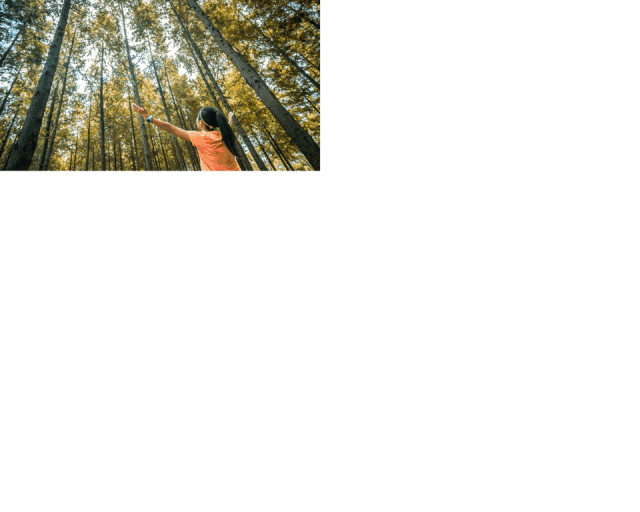 微信图片_20180904105455.gif