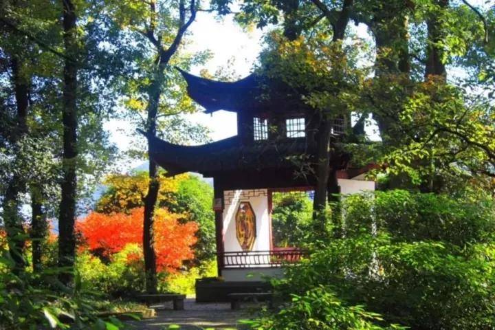 微信图片_20180921145342.jpg
