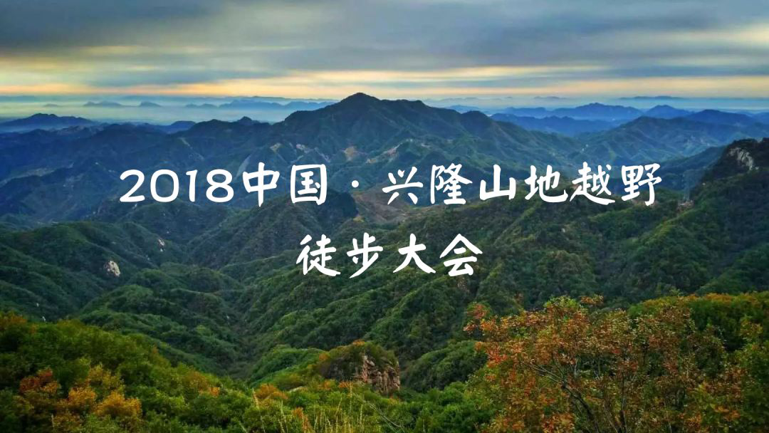 图片28.png