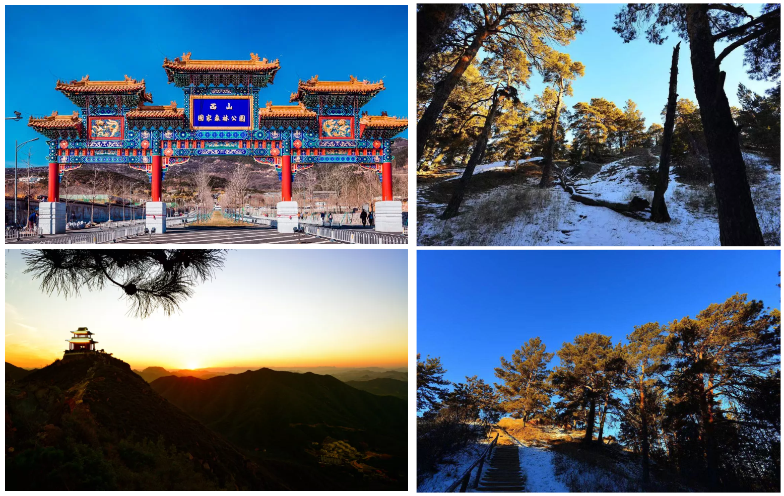 图片6_副本.png