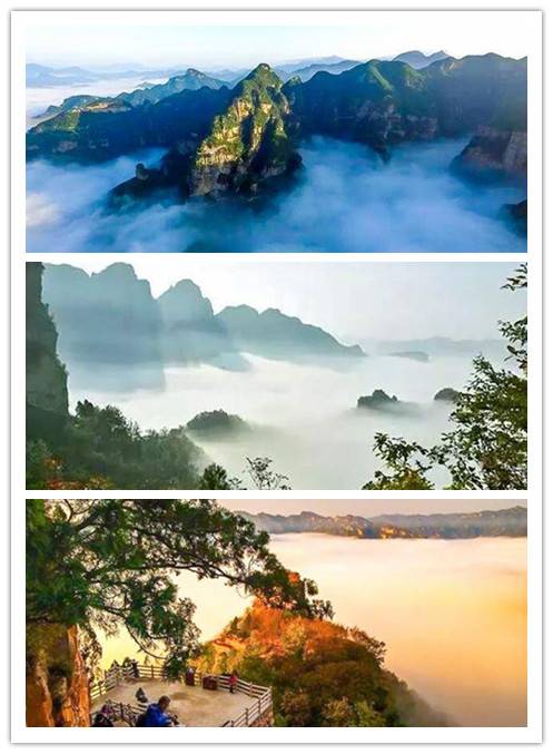 1550743265933_170378_副本.jpg