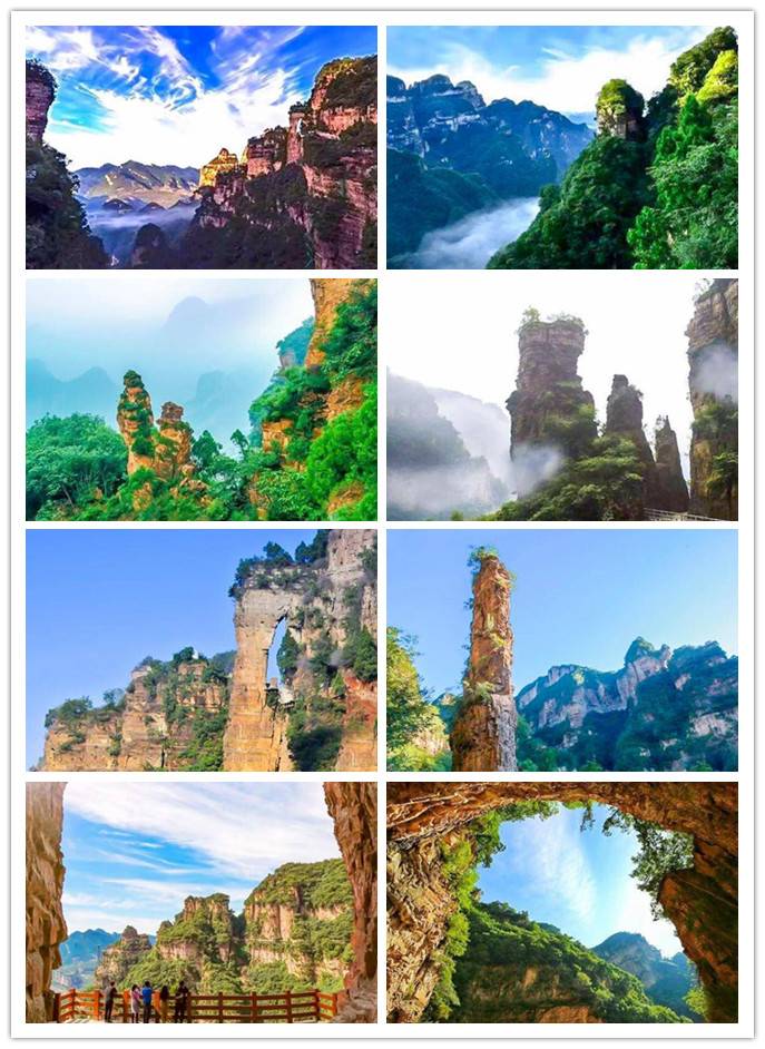 1550743266620_170388_副本.jpg