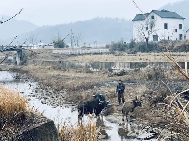 微信图片_20190228110816.gif