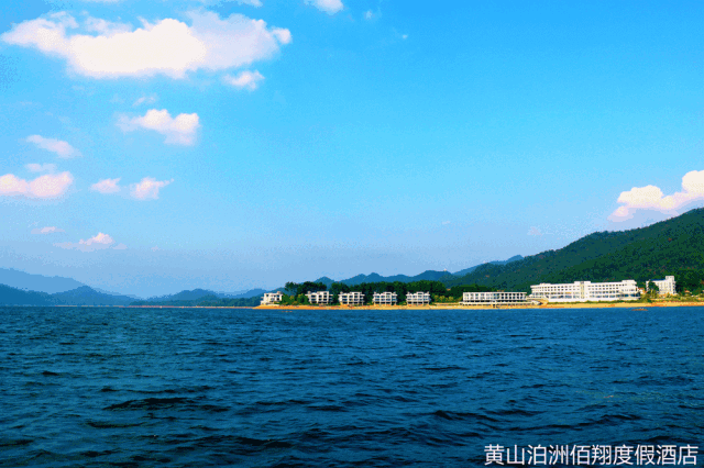 微信图片_20190228110849.gif