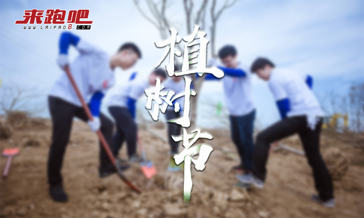 图片34.png